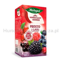 Herbapol Herbaciany Ogród Herbatka Owocowa Prosto Z Lasu 20 Torebek/50G - 2