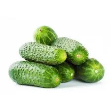 Ogórek Gruntowy kg