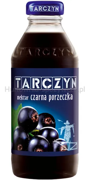 Nektar TARCZYN, 0,3l, czarna porzeczka