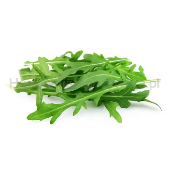Sałata Rukola Klasa I Włochy 125G