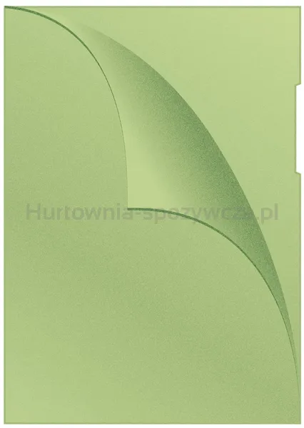 Obwoluta Q-Connect Typu L, Pp, A4, Groszkowa, 120Mikr., 100Szt., Zielona