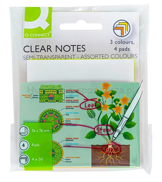 Q-Connect Bloczek samoprzylepny, półprzezroczysty, 76x76mm, 4x50k., mix kolorów 