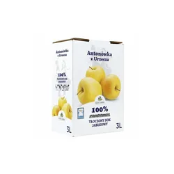 Sok Nfc Jabłkowy Antonówka 100% Dolina Czerska 3L