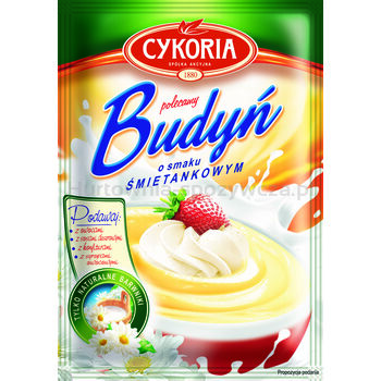 Cykoria Budyń Bez Cukru Śmietankowy 40G