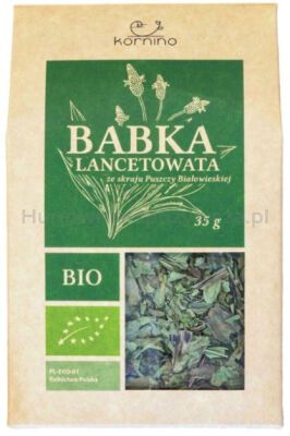 Babka lancetowata BIO 35 g
