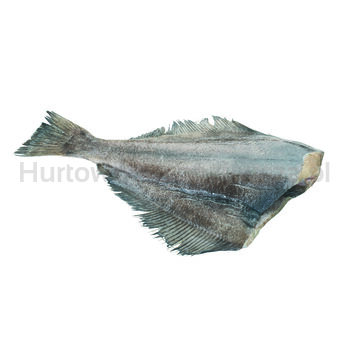 Halibut Tusza 1-2Kg