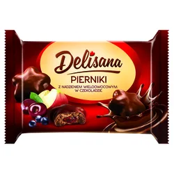 Delisana Pierniki w czekoladzie z nadzieniem wieloowocowym 200g