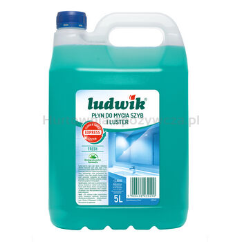 Ludwik płyn do mycia szyb i luster 5l