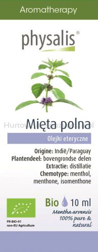 Olejek Eteryczny Mięta Polna Bio 10 Ml - Physalis [BIO]