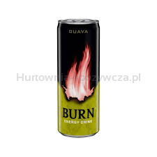 Burn Energy Guava 250 ml