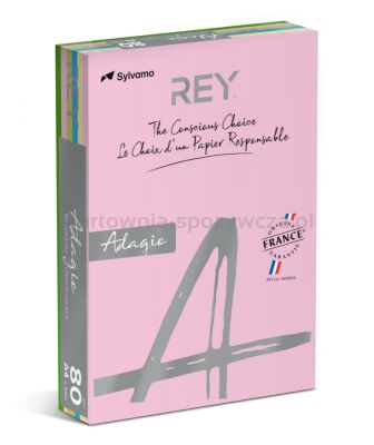 Rey Adagio Papier ksero A4, 80gsm, mix kolorów pastel, *RYADA080X905 R200, 5x100 ark. 