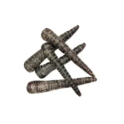 Marchew Fioletowa Holandia kg