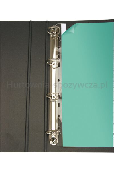 Listwa samoprzylepna Q-CONNECT, do archiwizacji, A4, 295mm, 10szt., transpatrentna - 2