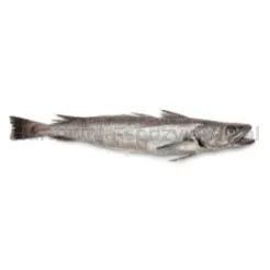 Morszczuk Filet Bez Skóry około  200-400G