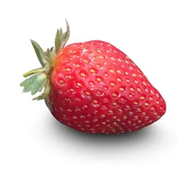 Truskawka Klasa I Hiszpania 1Kg