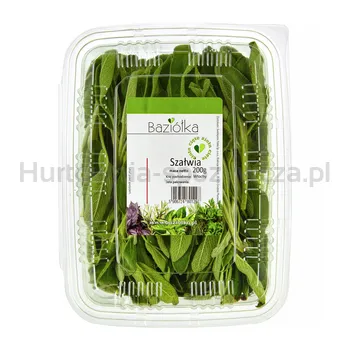 Szałwia Cięta 200G Baziółka