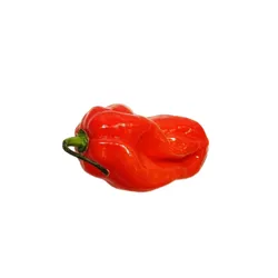 Papryka Ostra Carolina Reaper Hiszpania 50G