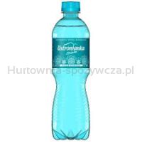 Woda Ustronianka Biała 0,5L niegazowana(butelka bez kaucji) - 2