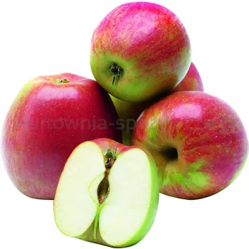 Jabłka Szampion Klasa I Polska 12Kg