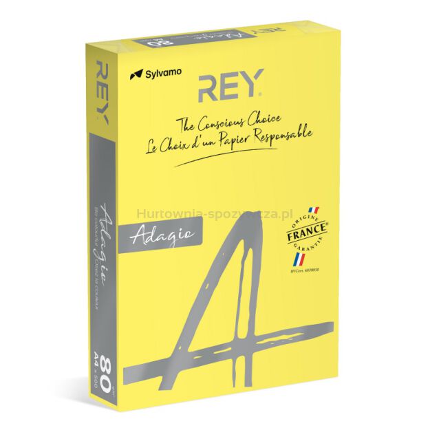 Rey Adagio Papier ksero A4, 80gsm, 66 żółty intense *RYADA080X425 R200, 500 ark. [BIURO]