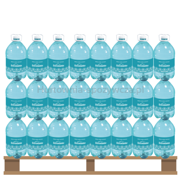 Woda Ustronianka niegazowana 5l <br>(Paleta 144 szt.)