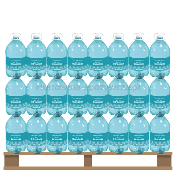 Woda Ustronianka niegazowana 5l<br>(Paleta 144 szt.)  SK