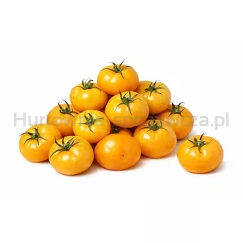 Pomidor Żółty 6KG
