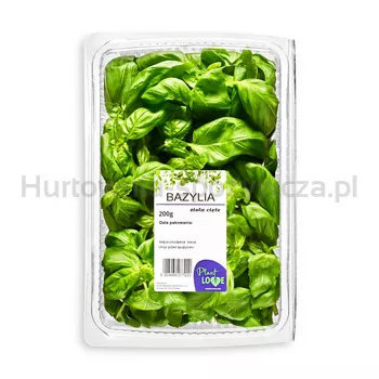BAZYLIA CIĘTA 200G PLANT LOVE