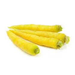 Marchew Żółta Holandia (Kg)