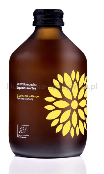 Kombucha  Kurkuma + Imbir BIO 330 ml