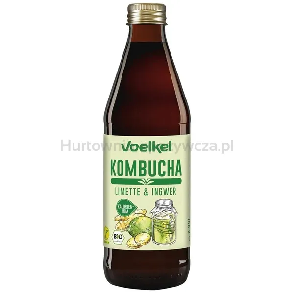 Kombucha Limonka-Imbir Bio 330 Ml