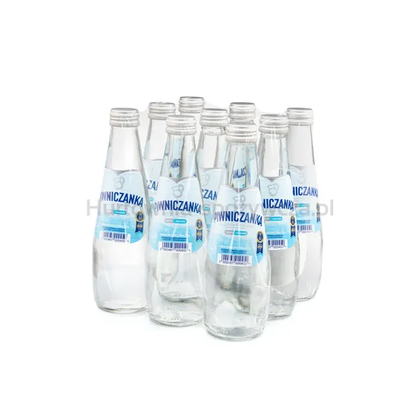 Naturalna woda mineralna niskonasycona CO2 0,3 l