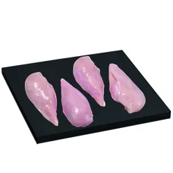 Filet Z Piersi Kurczaka Około 0,5 Kg