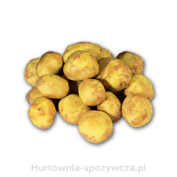 Ziemniak Wczesny Polska Luz