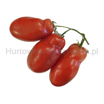 Pomidor San Marzano Czerwony Klasa I Włochy 1Kg