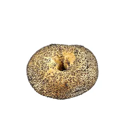 Putka Bajgiel Z Makiem 80G Odp.