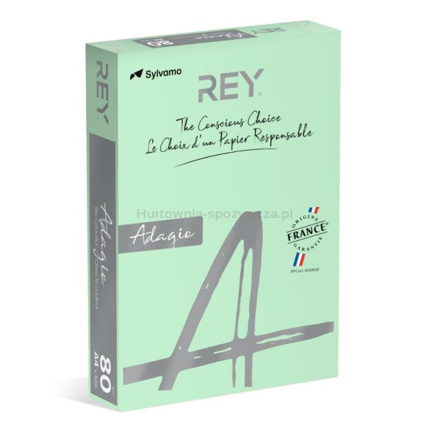 Rey Adagio Papier ksero A4, 80gsm, 09 zielony pastel *RYADA080X432 R200, 500 ark. [BIURO]