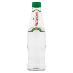 Muszynianka Naturalna Woda Mineralna Niskonasycona Co2 0,3L