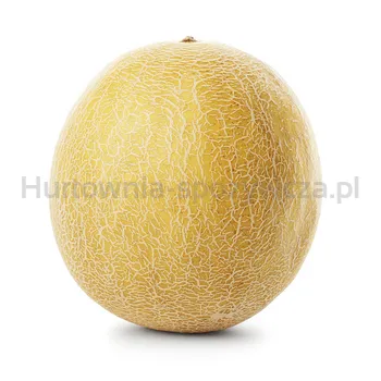 Melon Galia Brazylia 1Szt