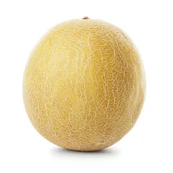 Melon Galia Brazylia szt.