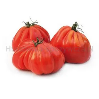 Pomidor Bawole Serce Klasa I Polska kg