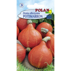 Dynia olbrzymia Potimaron Polan