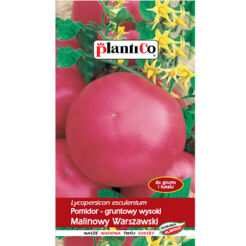 Pomidor Malinowy Warszawski PlantiCo