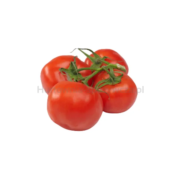Pomidor Gałązka Klasa I Polska kg