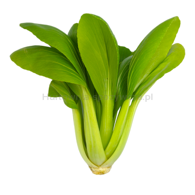 Kapusta Pak Choi 2 Szt