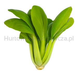 Kapusta Pak Choi 2 Szt
