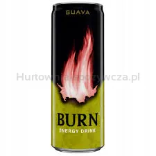 Burn Energy Guava 250 ml