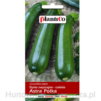 Dynia zwyczajna -cukinia Astra Polka PlantiCo