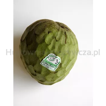 Cherimoya 1SZT