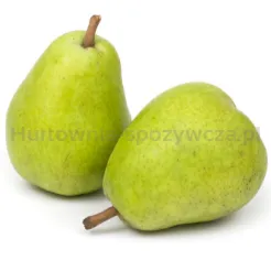 Gruszka Lukasówka Kg